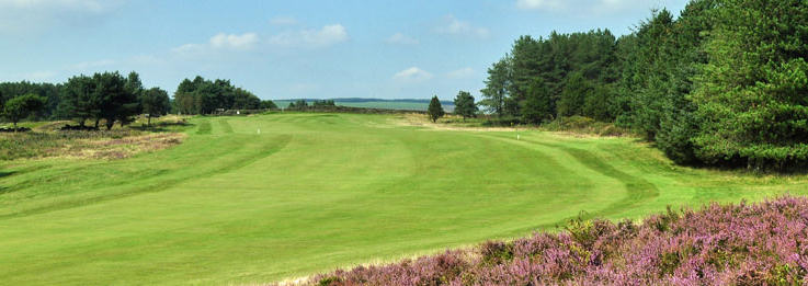 Neath Golf Club Field
